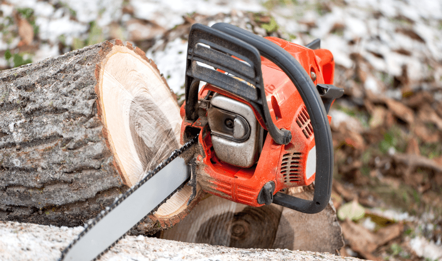 Tree Removal